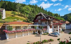 Flair Hotel Adlerbad