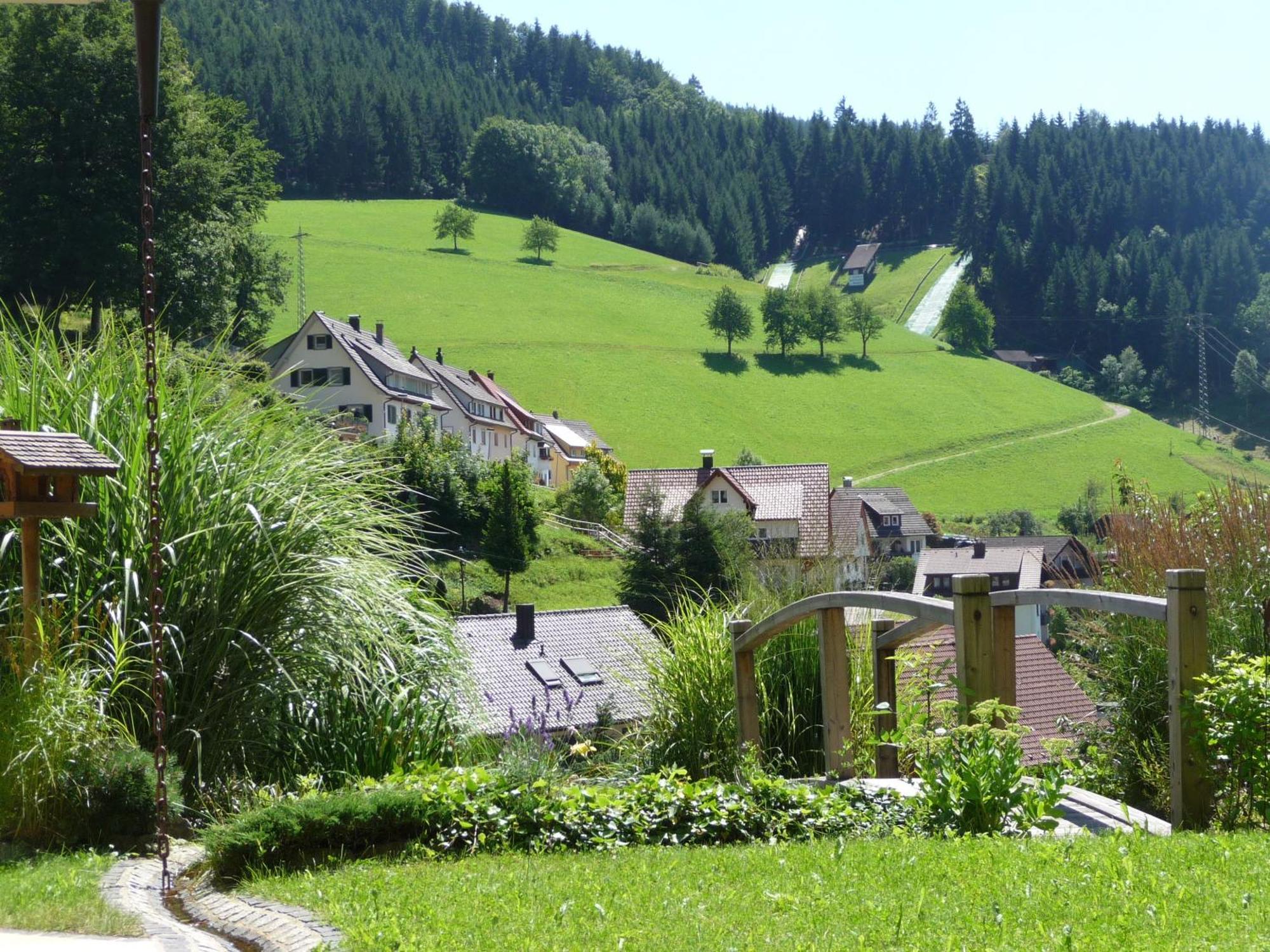 Flair Hotel Adlerbad Bad Peterstal-Griesbach Extérieur photo
