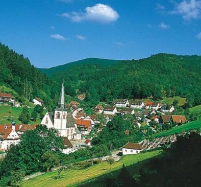 Flair Hotel Adlerbad Bad Peterstal-Griesbach Extérieur photo
